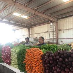 Local Traditional Markets - Al Wafrah