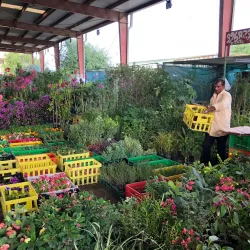 Local Traditional Markets - Al Wafrah