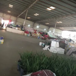 Local Traditional Markets - Al Wafrah