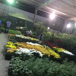 Local Traditional Markets - Al Wafrah