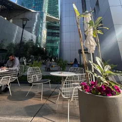 Local Coffee Shops - Ar-rawdah