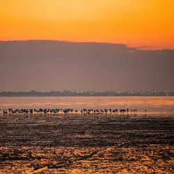 Neighborhood Walking Tours - Ar-rawdah