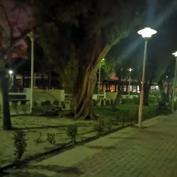 Al Ardiya Park - Ardiya