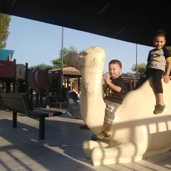 Al Ardiya Park - Ardiya