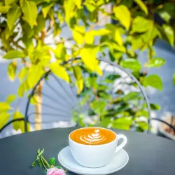 Local Cafes and Restaurants - Ardiya