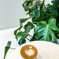 Local Cafes and Restaurants - Ardiya