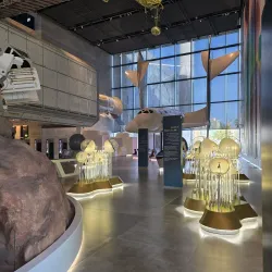 Salmiya Cultural Center - As-salimiyah