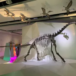 Salmiya Cultural Center - As-salimiyah