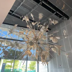 Salmiya Cultural Center - As-salimiyah