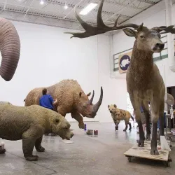 Salmiya Cultural Center - As-salimiyah