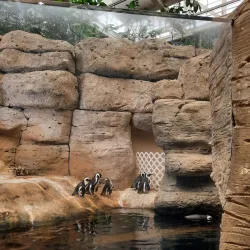 The Scientific Center Aquarium - As-salimiyah