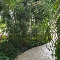 Bayan Palace - Bayan