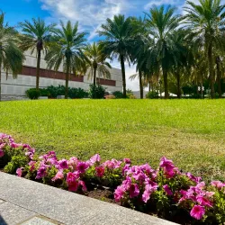 Bayan Palace - Bayan