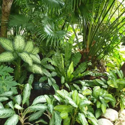 Bayan Palace - Bayan