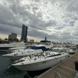 Marina Crescent - Bayan