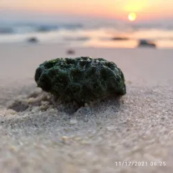 Al-Mangaf Beach - Fahaheel