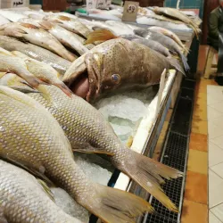 Fahaheel Fish Market - Fahaheel
