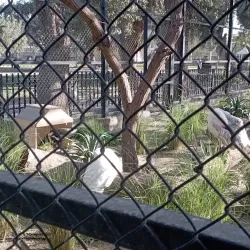 Hadiya Botanical Gardens - Hadiya