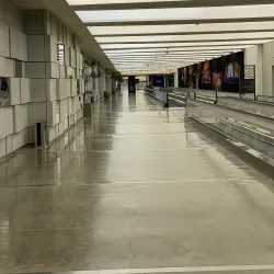 Hadiya Cultural Center - Hadiya