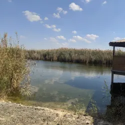 Janub-as-Surrah Health Walk Trail - Janub-as-surrah