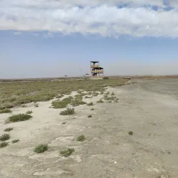 Janub-as-Surrah Health Walk Trail - Janub-as-surrah