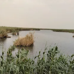 Janub-as-Surrah Health Walk Trail - Janub-as-surrah