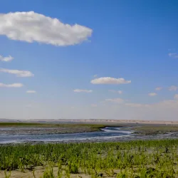 Janub-as-Surrah Health Walk Trail - Janub-as-surrah