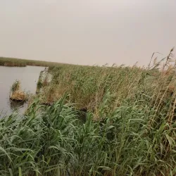 Janub-as-Surrah Health Walk Trail - Janub-as-surrah