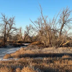 Janub-as-Surrah Health Walk Trail - Janub-as-surrah