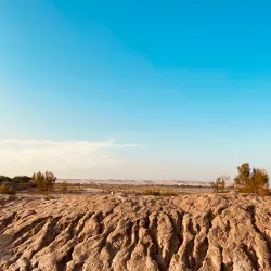 Janub-as-Surrah Health Walk Trail - Janub-as-surrah