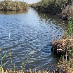 Janub-as-Surrah Health Walk Trail - Janub-as-surrah