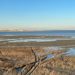 Janub-as-Surrah Health Walk Trail - Janub-as-surrah