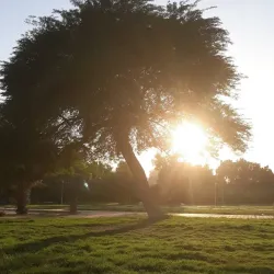 Surrah Children's Park - Janub-as-surrah