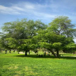 Surrah Children's Park - Janub-as-surrah