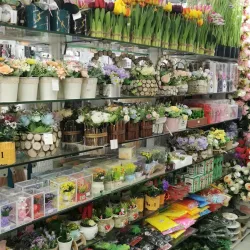 Al Shuyoukh Shopping Center - Jeleeb Al-Shuyoukh (Al Shuyough)