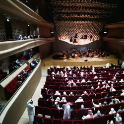 Cultural Events and Festivals - Jeleeb Al-Shuyoukh (Al Shuyough)