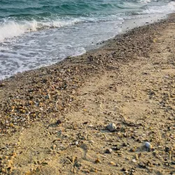 Gulf Road Coastal Walk - Mahboula