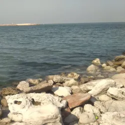 Gulf Road Coastal Walk - Mahboula