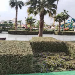 Neighborhood Walking Tours - Sabah Al Salem