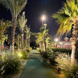 Neighborhood Walking Tours - Sabah Al Salem