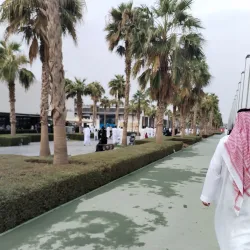 Neighborhood Walking Tours - Sabah Al Salem