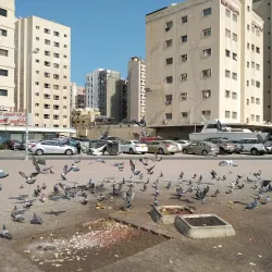Salmiya Park - Salmiya