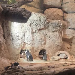 The Scientific Center Aquarium - Salmiya