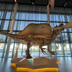 Shaab Cultural Center - Shaab