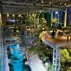 Shaab Cultural Center - Shaab