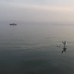 Cholpon-Ata Beach - Cholpon-Ata