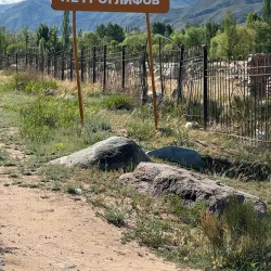 Museum of Petroglyphs - Cholpon-Ata