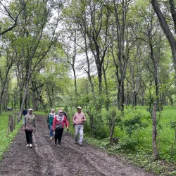Arslanbob Walnut Forest - Jalal-Abad