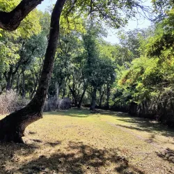 Arslanbob Walnut Forest - Jalal-Abad