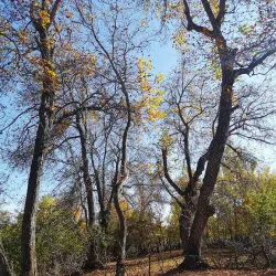 Arslanbob Walnut Forest - Jalal-Abad